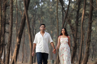ARK_ (29)