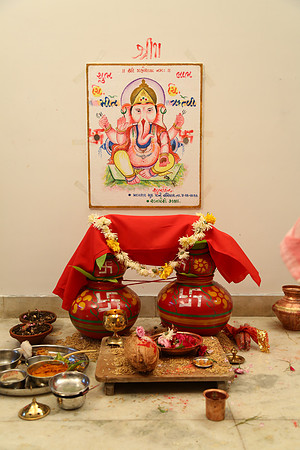 PARV4116