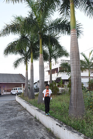 JMK_4552