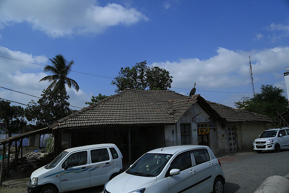 PARV6451