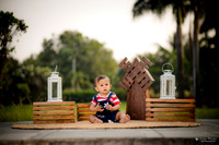 ARK_2162 copy