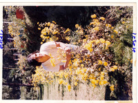 Untitled-27