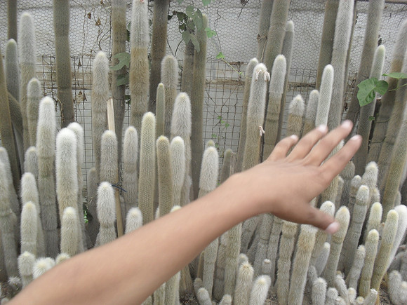 SAM_0282