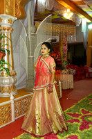 PARV7527