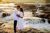 Save The Date copy