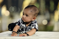 PJP_8260