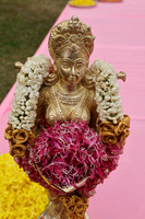 IMG_W (7)