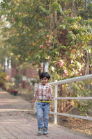 Original
