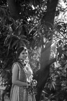 ARK_P (14)