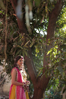 ARK_P (15)