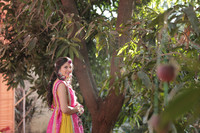 ARK_P (18)