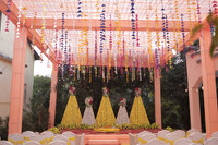 ARK_P (4)