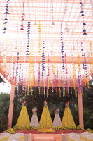 ARK_P (5)