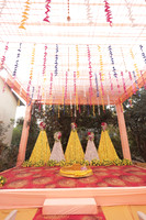 ARK_P (7)