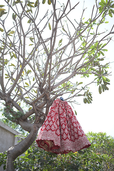 DSC_W (119)