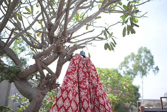 DSC_W (121)