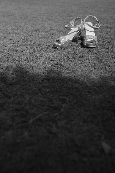 DSC_W (138)