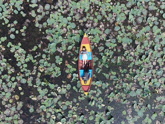 DJI_0190