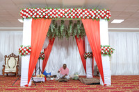 ARK_ (17)