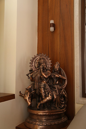 PARV6484