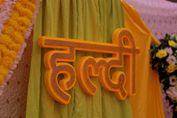 ARK_P_ (16)