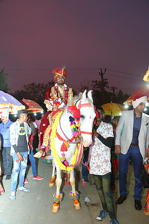 NST_2361