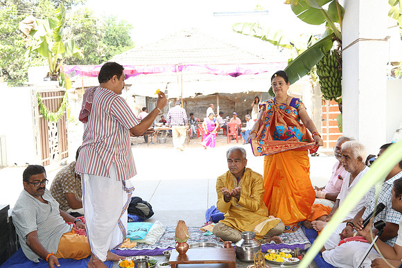 PARV6559