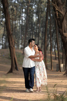 ARK_ (4)
