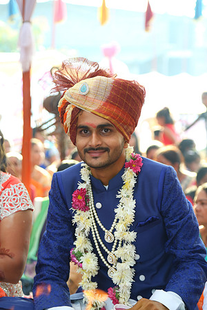 PARV4282