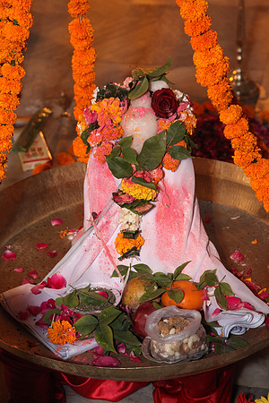 IMG_2417