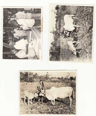 Untitled-1