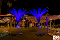 ARK_ (6)