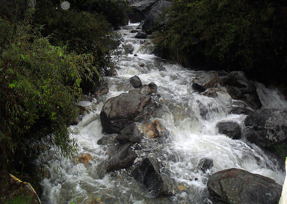 SAM_1049