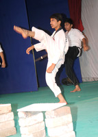 UPS_0871