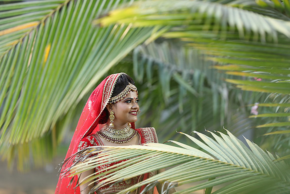 PJP_1210