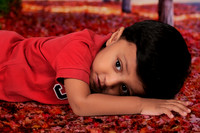 UPS_3760 copy