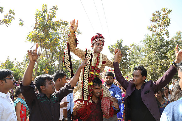 PARV7801