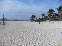 SDC10565