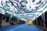 ARK_P_ (6)