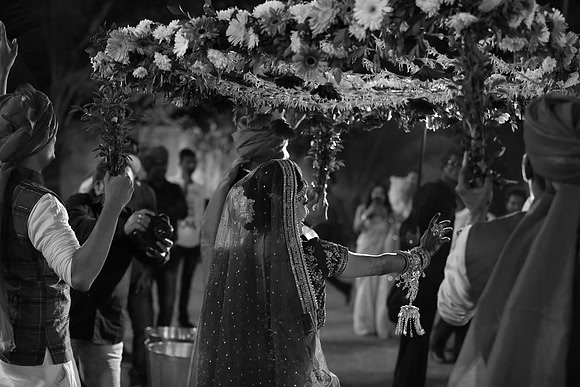 JAK_1804