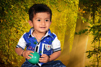 UPS_0660c