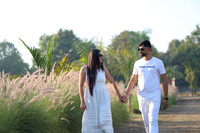ARK_ (13)