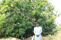 ARK_ (23)