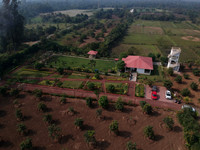 DJI_0971