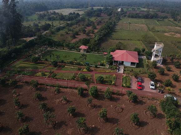DJI_0971
