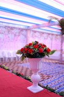 ARK_ (11)