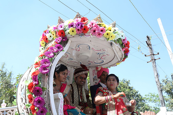 PARV7817