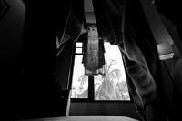 ARK_ (32)
