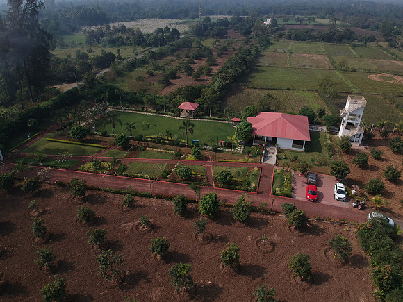 DJI_0972