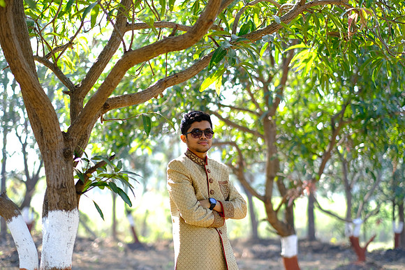 BVSH1371
